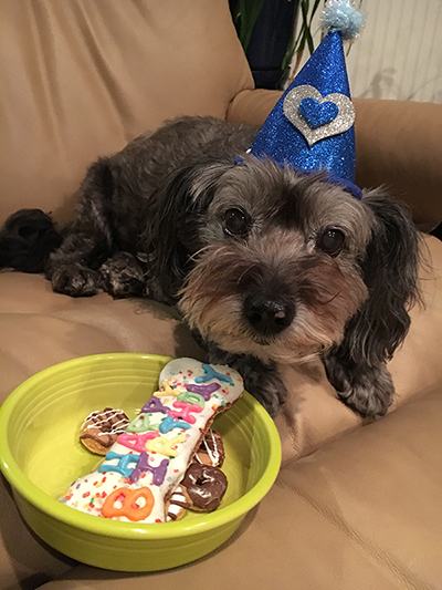 Dr. Silky's Birthday